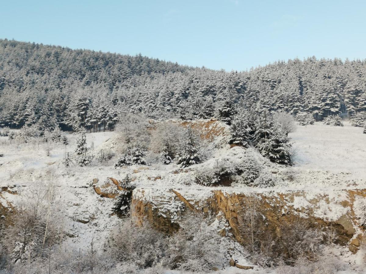 Арт Мезонет Salem Apartamento Velingrad Exterior foto